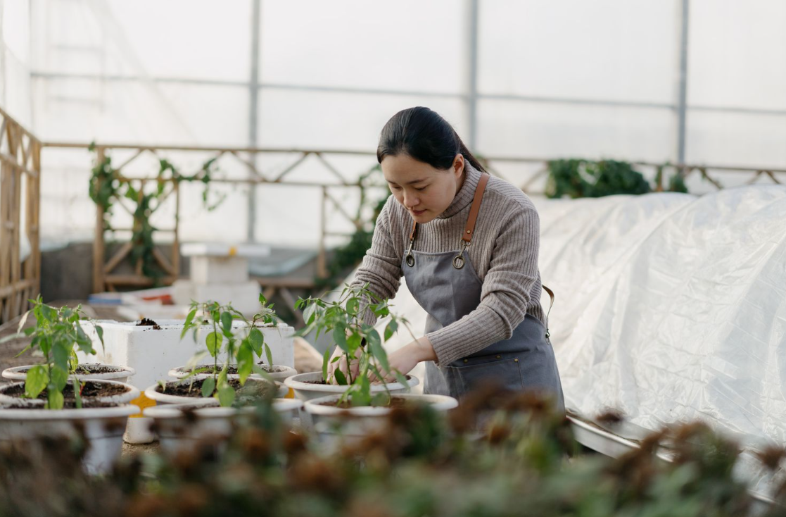 Small business insurance